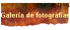 Galera de fotografas